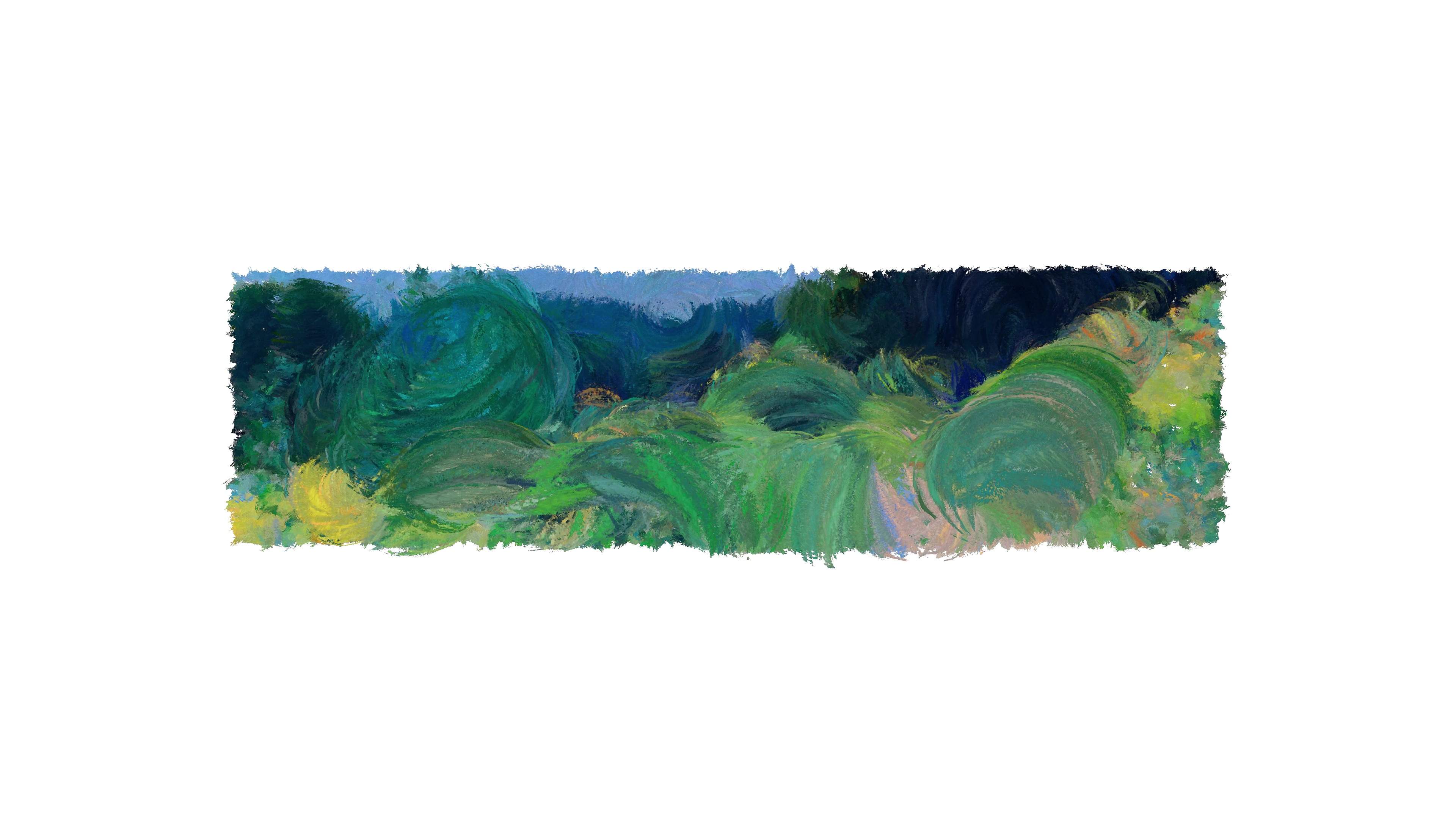 Studies of Artificial Landscapes